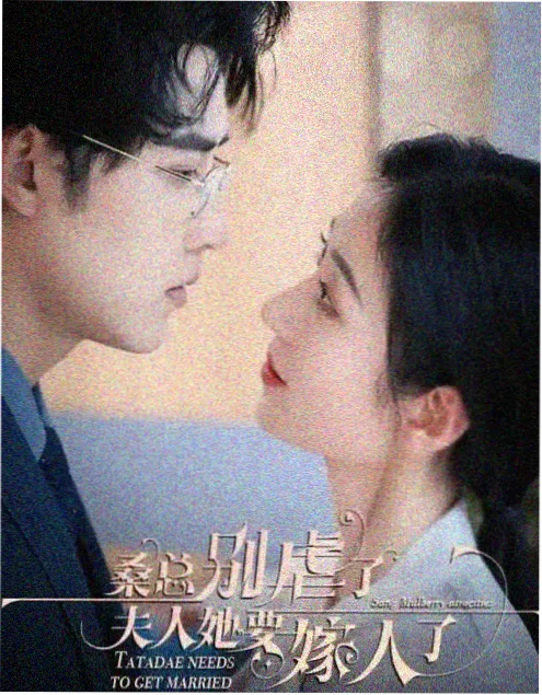 长街灯火全集在线播放封面